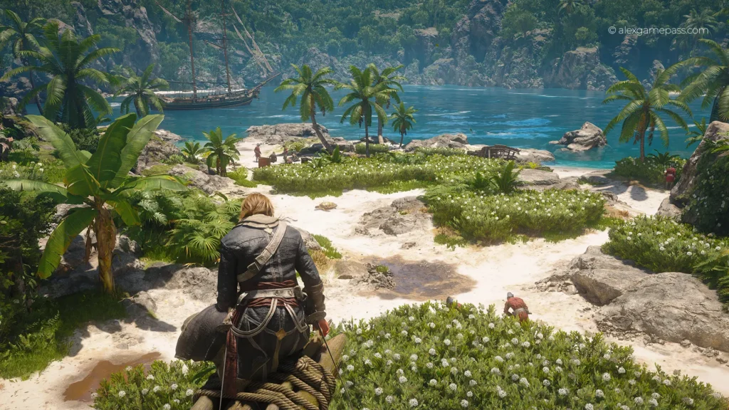 Assassin's Creed Black Flag Resynced