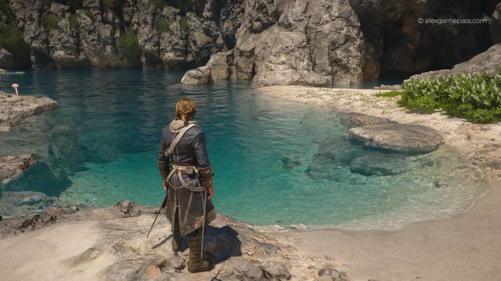 Assassin's Creed Black Flag Resynced